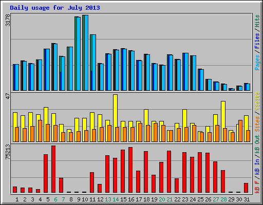 Daily usage for July 2013