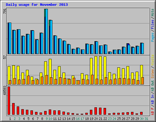 Daily usage for November 2013