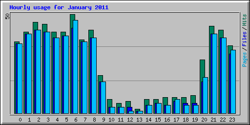 Hourly usage for January 2011