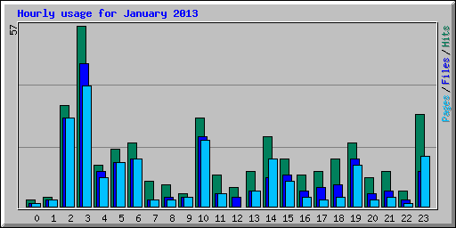 Hourly usage for January 2013