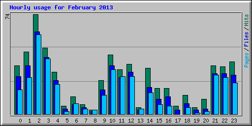 Hourly usage for February 2013