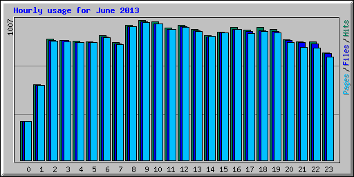 Hourly usage for June 2013