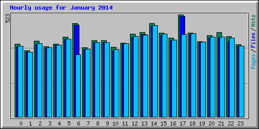 Hourly usage for January 2014