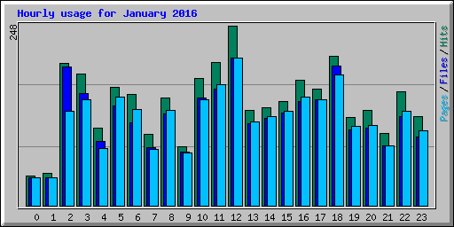 Hourly usage for January 2016