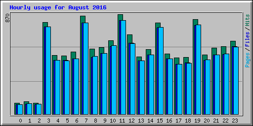 Hourly usage for August 2016